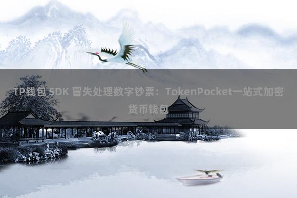 TP钱包 SDK 冒失处理数字钞票：TokenPocket一站式加密货币钱包