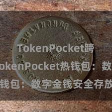 TokenPocket跨链转账 TokenPocket热钱包：数字金钱安全存放首选！